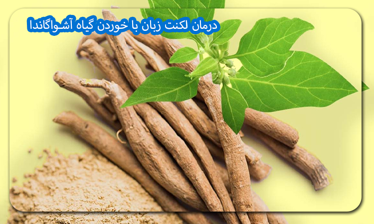 درمان لکنت زبان با خوردن گیاه آشواگاندا