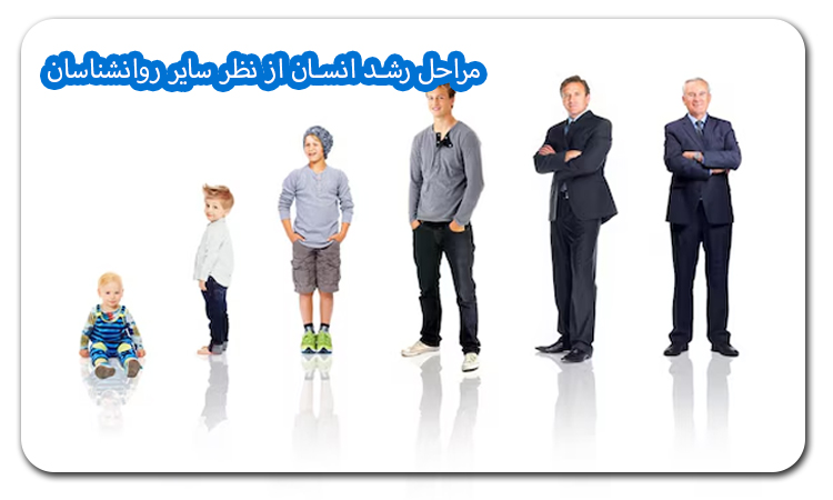 مراحل رشد انسان از نظر سایر روانشناسان