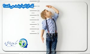 قد از کجا رشد می کند؟