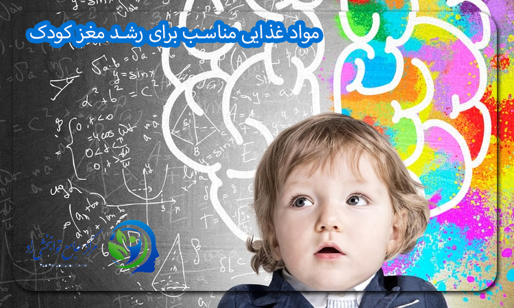 مواد غذایی مناسب برای رشد مغز کودک